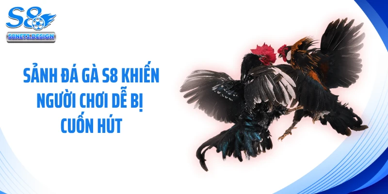 Sảnh đá gà S8 khiến người chơi dễ bị cuốn hút